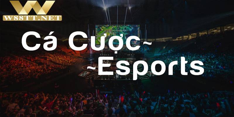 Sản phẩm sảnh game cá cược Esports  đa dạng thể loại